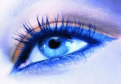 make-up Seznam forumov